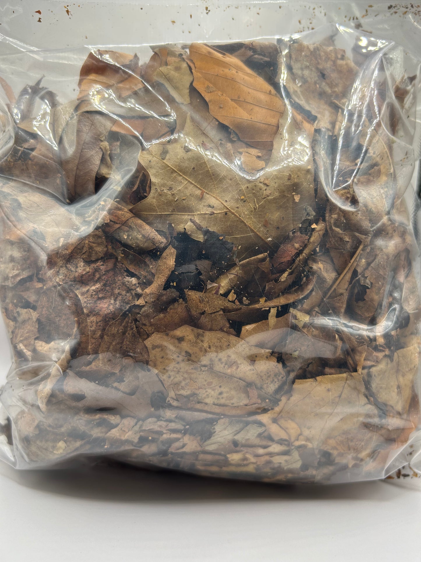 Leaf litter CrawlMart