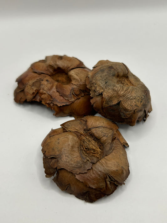 Coco Crowns CrawlMart