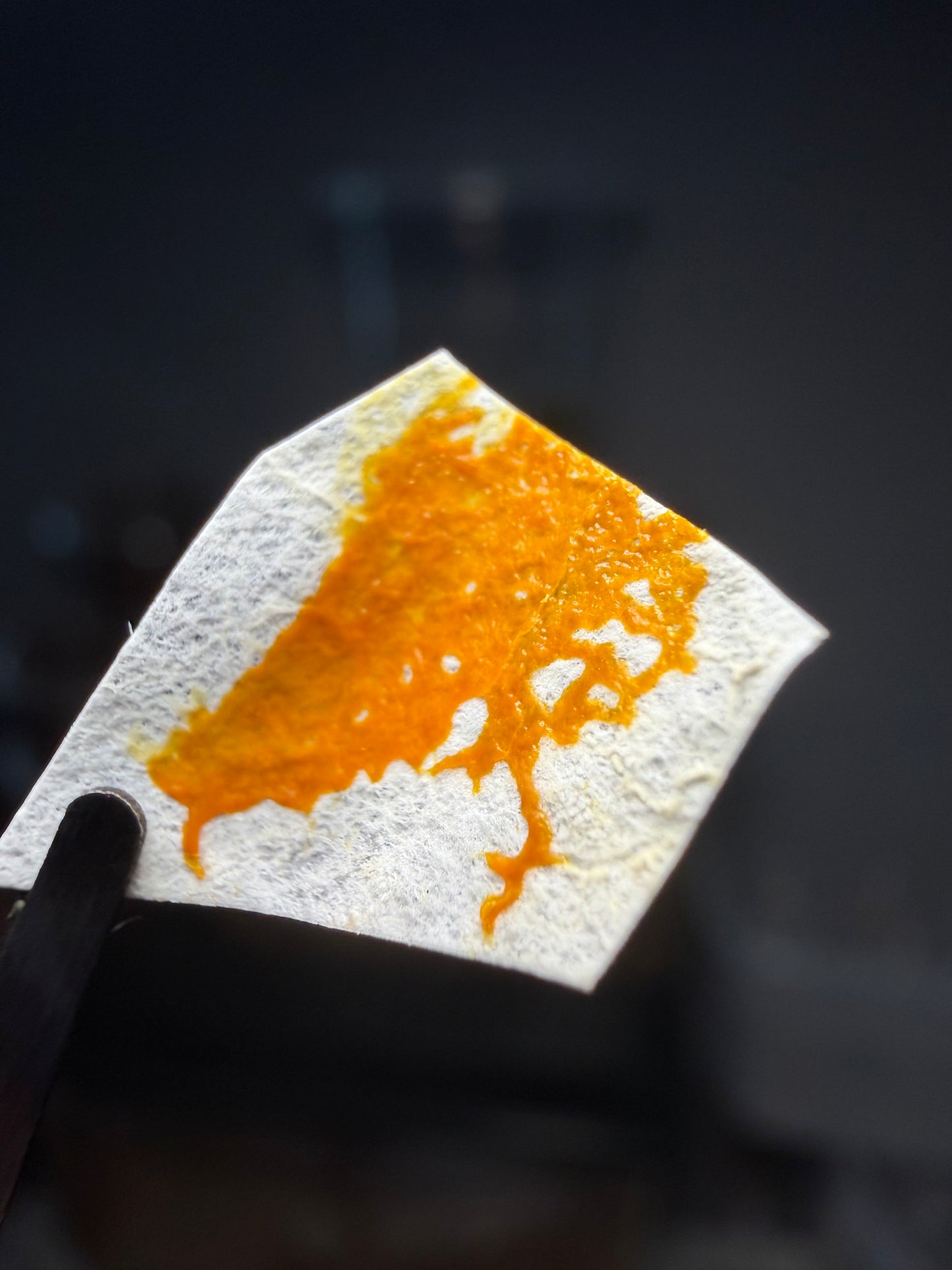 Slime Mold CrawlMart